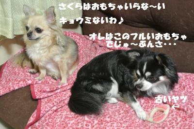 20121017+023_convert_20121023104425.jpg