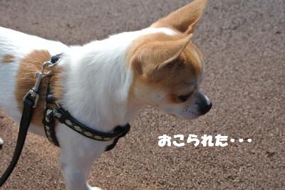 20121017+026_convert_20121024104017.jpg