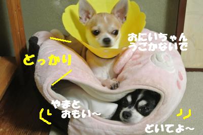 20121017+028_convert_20121019100130.jpg