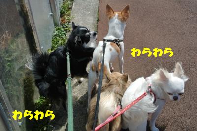 20121017+028_convert_20121024103623.jpg