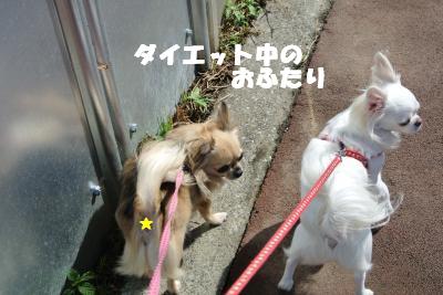 20121017+029_convert_20121024103403.jpg