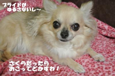 20121017+030_convert_20121019100309.jpg