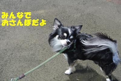 20121017+031_convert_20121024102849.jpg
