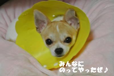 20121017+032_convert_20121019100337.jpg