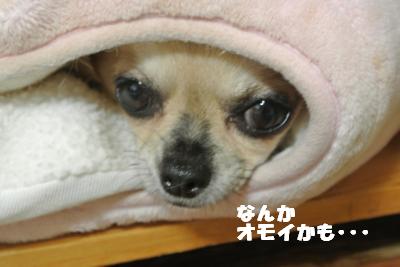 20121017+033_convert_20121019100413.jpg