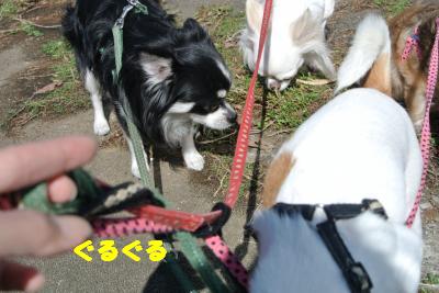 20121017+034_convert_20121024103536.jpg