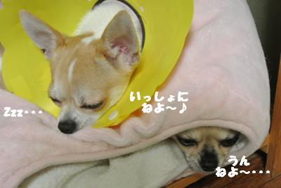 20121017+036_convert_20121019100531.jpg