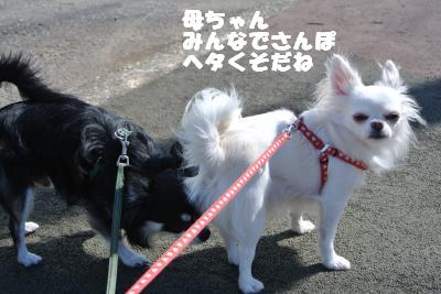 20121017+036_convert_20121024102948.jpg