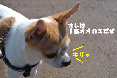 20121017+037_convert_20121024103018.jpg
