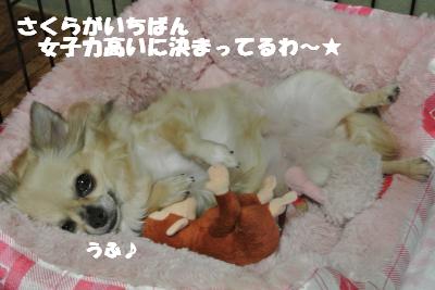 20121017+038_convert_20121030140033.jpg