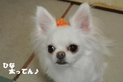 20121017+051_convert_20121022103550.jpg