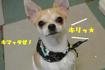 20121017+052_convert_20121022103639.jpg