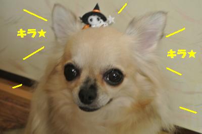 20121017+061_convert_20121022104022.jpg