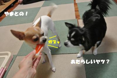 20121023+001_convert_20121023103559.jpg