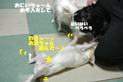20121023+001_convert_20121026151200.jpg