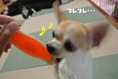 20121023+003_convert_20121023103707.jpg