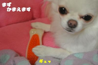 20121023+004_convert_20121025101532.jpg