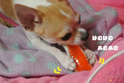 20121023+005_convert_20121023103758.jpg