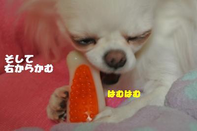 20121023+005_convert_20121025101611.jpg