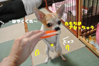 20121023+006_convert_20121023103633.jpg