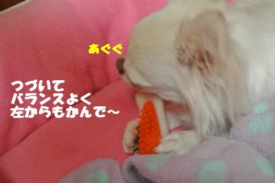 20121023+006_convert_20121025101646.jpg