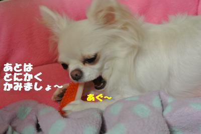 20121023+007_convert_20121025101730.jpg