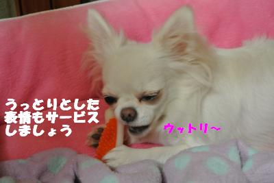 20121023+008_convert_20121025101804.jpg