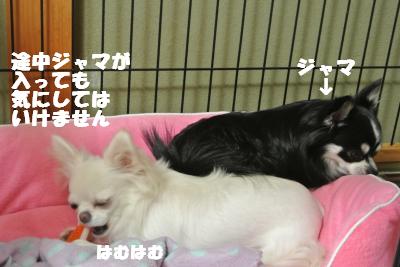 20121023+009_convert_20121025101852.jpg