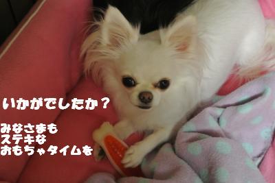20121023+011_convert_20121025103615.jpg