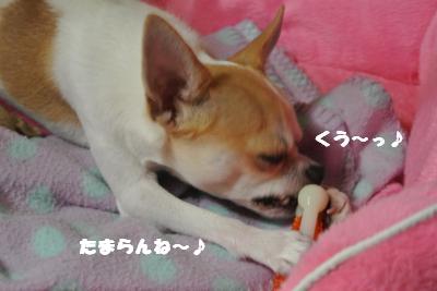20121023+012_convert_20121023104020.jpg