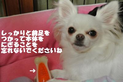 20121023+014_convert_20121025101925.jpg