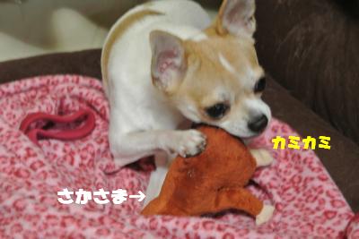 20121023+016_convert_20121025102343.jpg