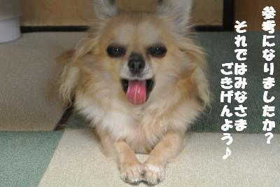 20121023+019_convert_20121025102258.jpg
