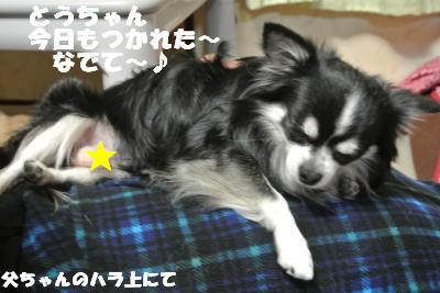 20121023+020_convert_20121026151838.jpg