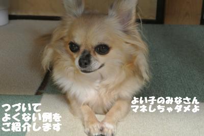 20121023+021_convert_20121025102036.jpg