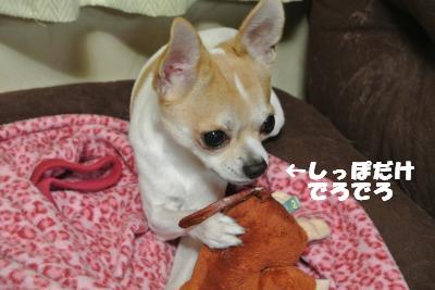 20121023+022_convert_20121025102107.jpg