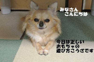 20121023+023_convert_20121025101451.jpg