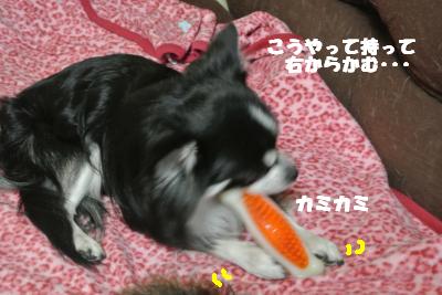 20121026+001_convert_20121026111908.jpg
