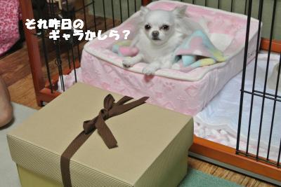 20121026+003_convert_20121026111442.jpg