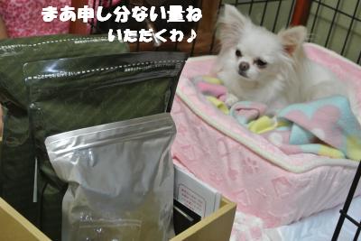 20121026+004_convert_20121026111505.jpg