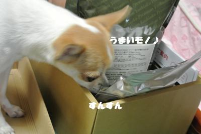 20121026+005_convert_20121026111406.jpg