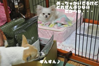 20121026+006_convert_20121026111535.jpg