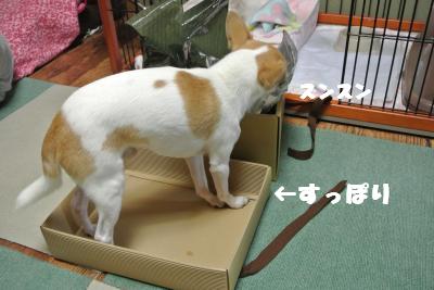 20121026+007_convert_20121026111636.jpg