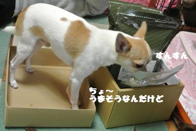 20121026+008_convert_20121026111611.jpg