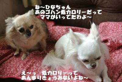 20121026+010_convert_20121026111742.jpg