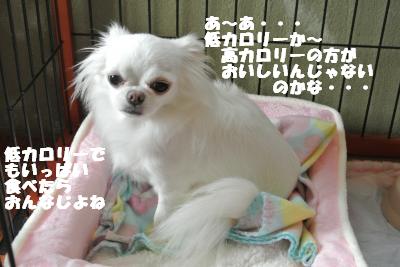 20121026+011_convert_20121026111811.jpg