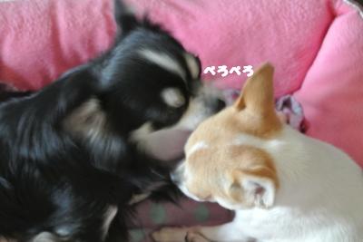 20121026+016_convert_20121026151322.jpg