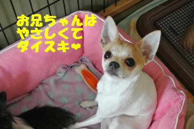 20121026+028_convert_20121026151713.jpg