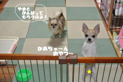 20121029+001_convert_20121029110129.jpg