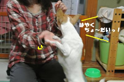 20121029+005_convert_20121029110339.jpg